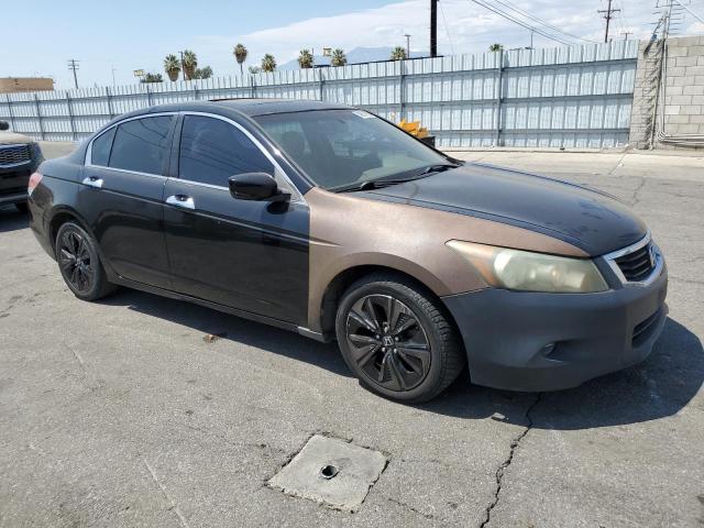 2010 HONDA ACCORD EXL #3306574942