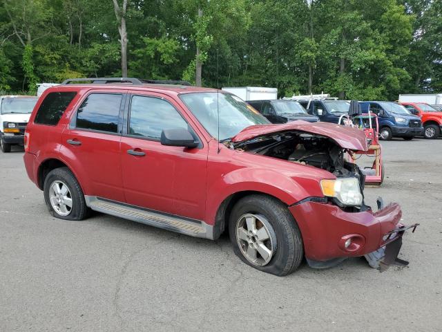 2010 FORD ESCAPE XLT - 1FMCU9DG7AKD41782
