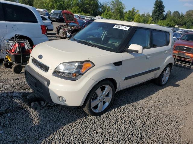 KIA SOUL +
