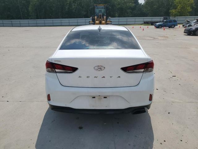 2019 HYUNDAI SONATA LIM 5NPE34AF1KH788669