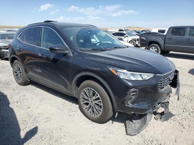 2025 FORD ESCAPE - 1FMCU0E16SUA68815
