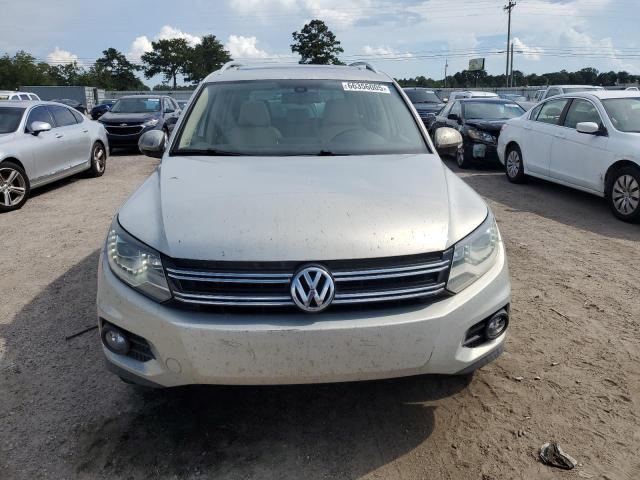 2013 VOLKSWAGEN TIGUAN S - WVGAV3AX5DW559383