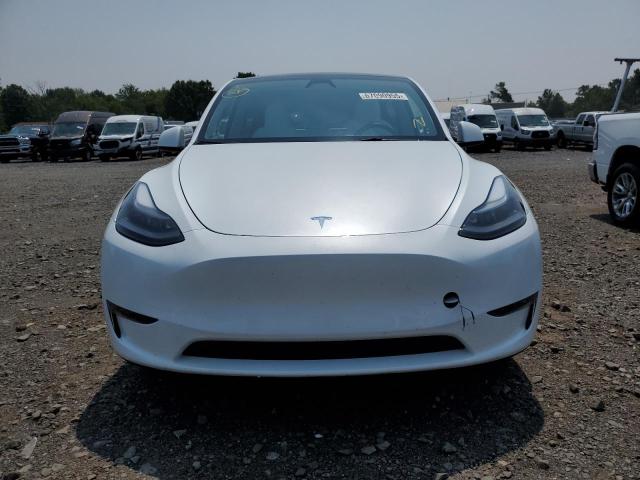 2023 TESLA MODEL Y 7SAYGDEE0PA199475