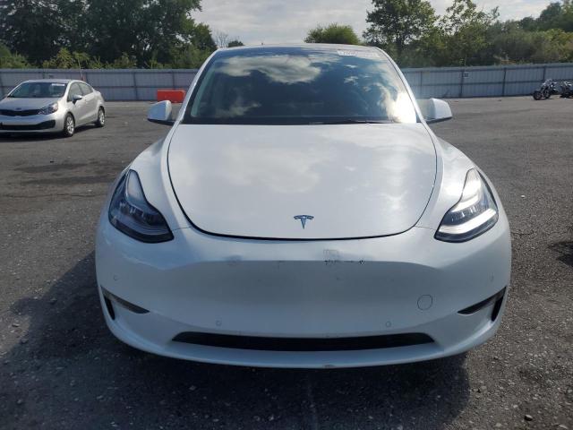2021 TESLA MODEL Y 5YJYGDEE2MF142609