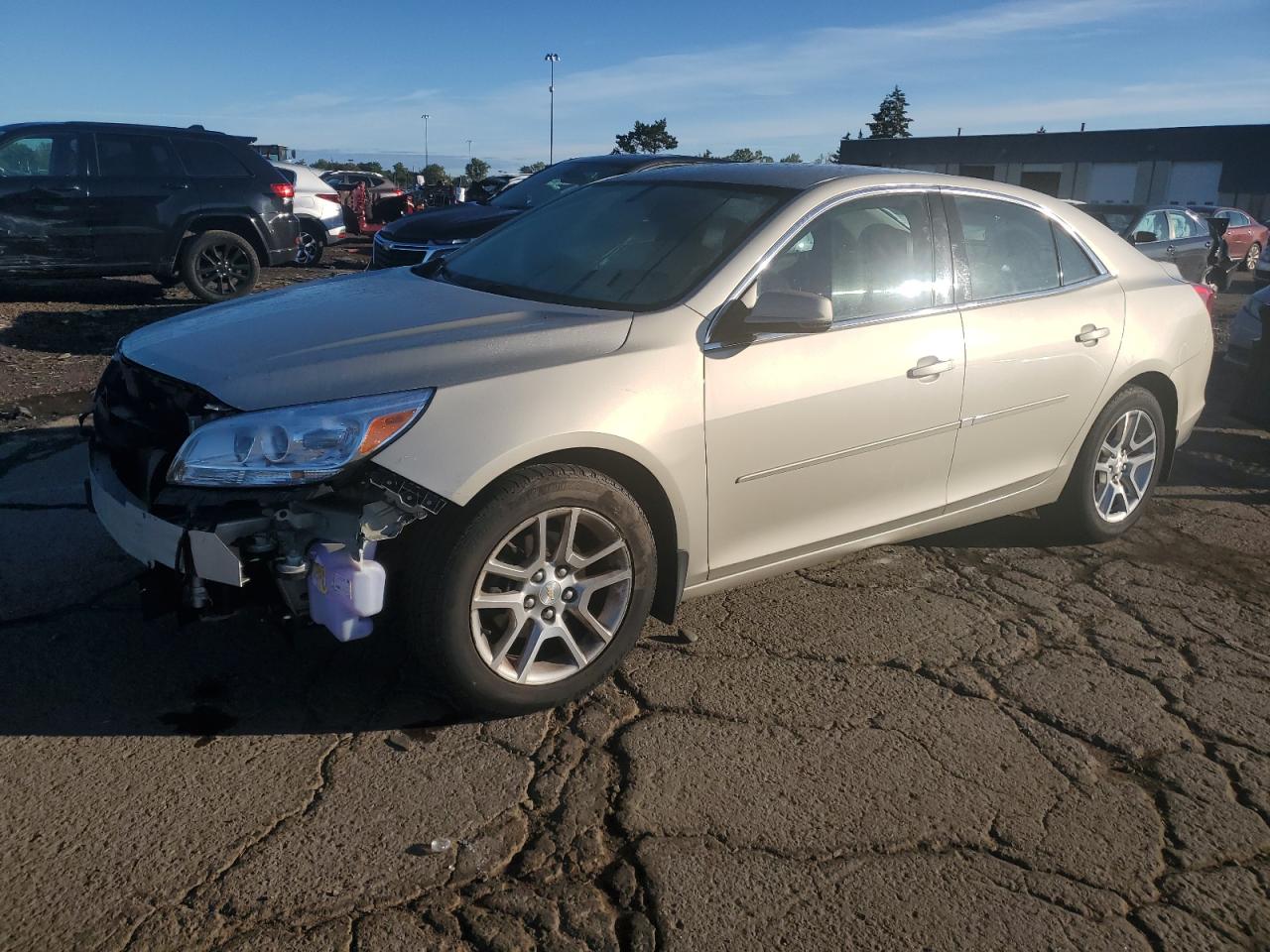 CHEVROLET MALIBU 1LT