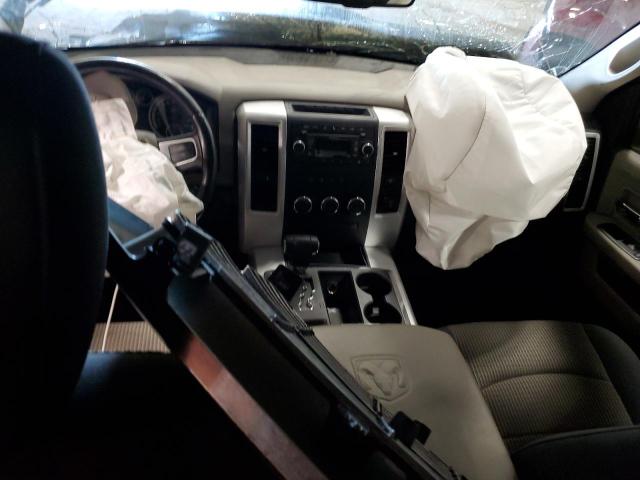 2010 DODGE RAM 1500 - 1D7RB1GT1AS169866