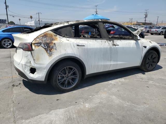 2025 TESLA MODEL Y 7SAYGDED5SF313117