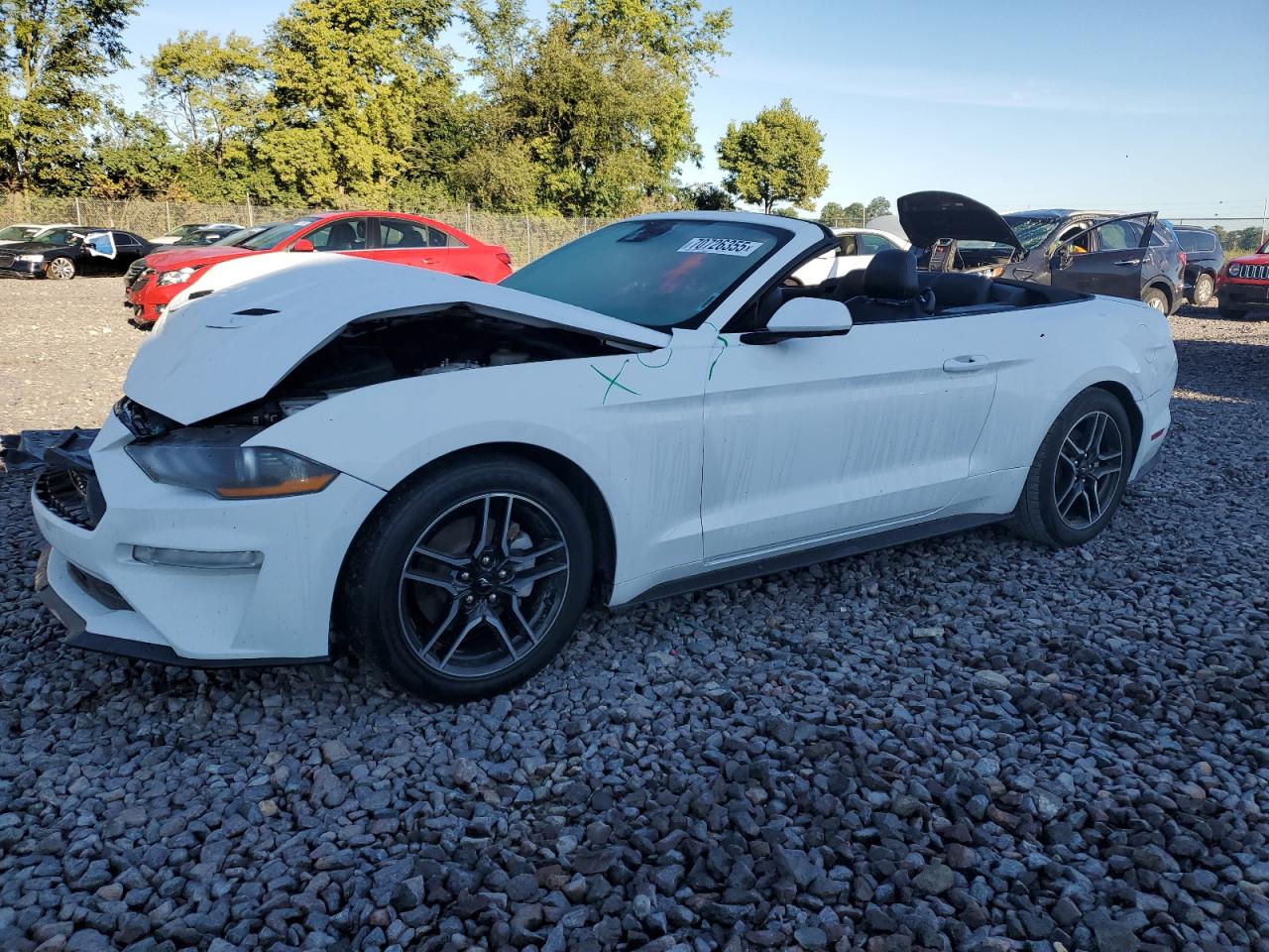 Lot #3248552540 2021 FORD MUSTANG