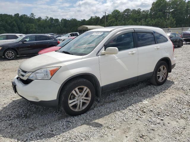 Global Auto Auctions: 2010 HONDA CR-V EXL