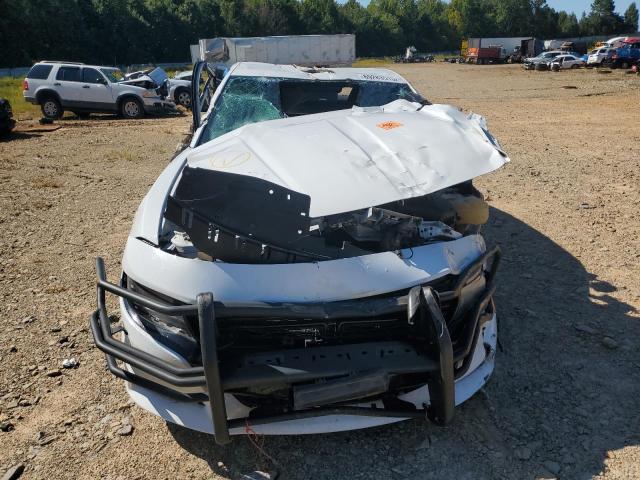 2019 DODGE CHARGER PO 2C3CDXKT9KH622424