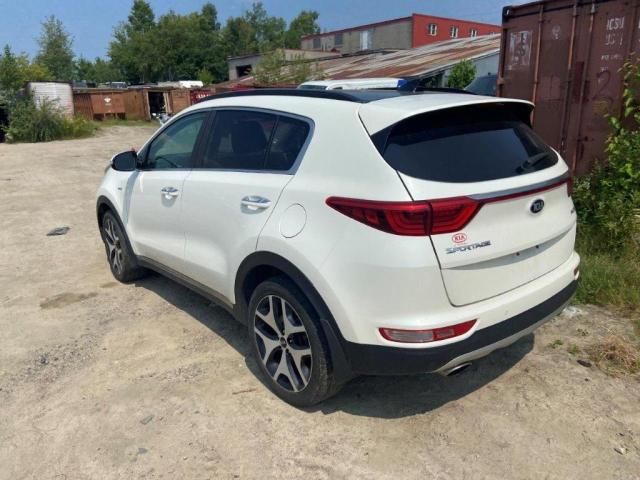 2019 KIA SPORTAGE S - KNDPRCA61K7568406