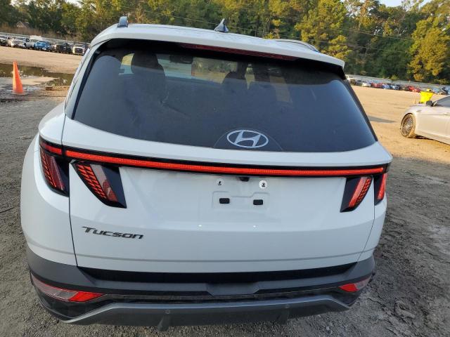 2024 HYUNDAI TUCSON LIM 5NMJE3DE5RH412599