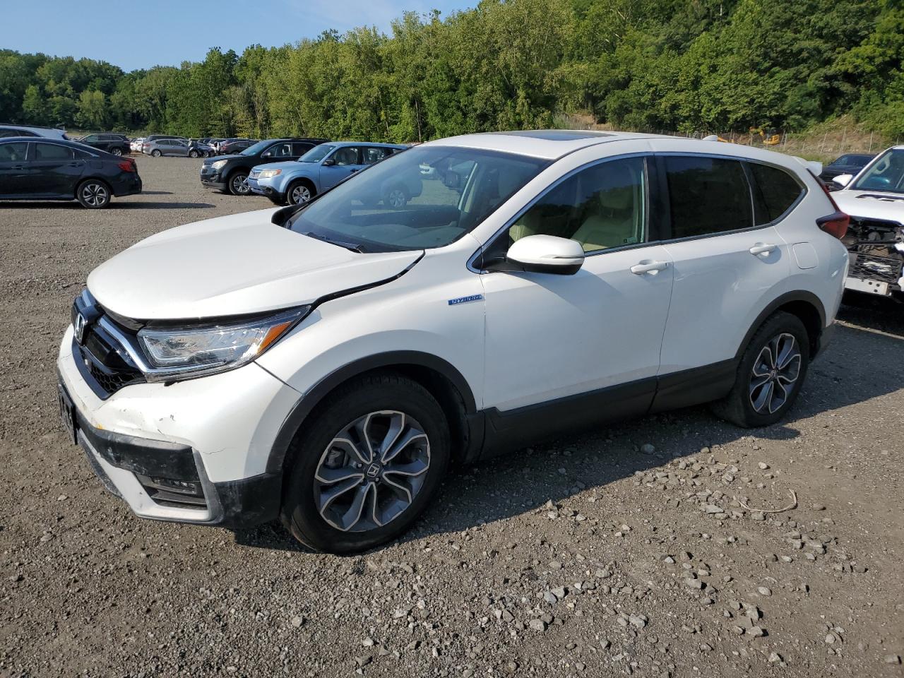 HONDA CR-V EXL