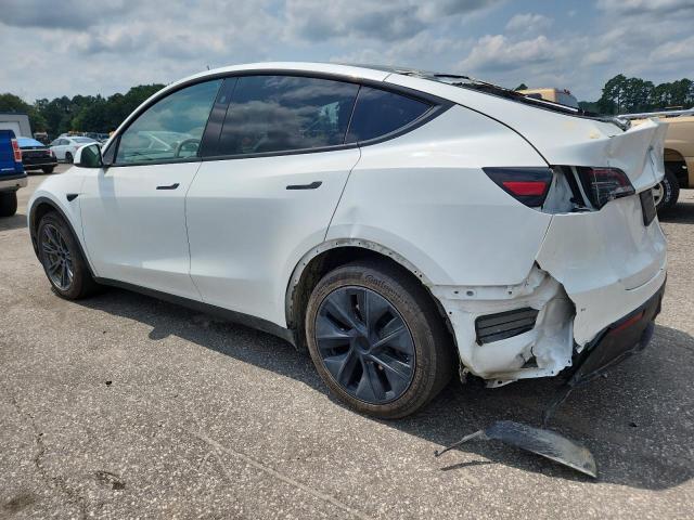 2024 TESLA MODEL Y 7SAYGDED7RF111664