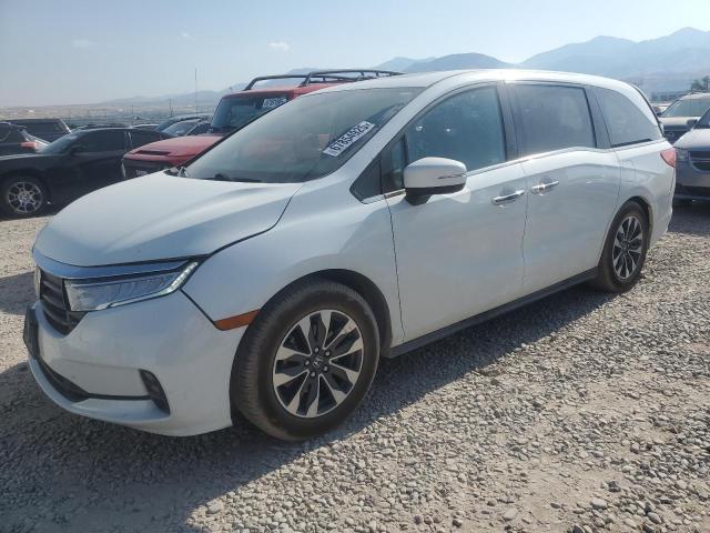 2021 HONDA ODYSSEY EXL 5FNRL6H75MB012123