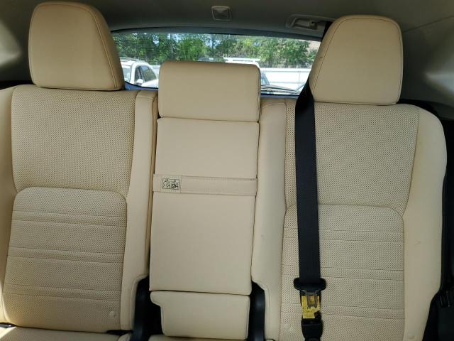 2020 LEXUS NX 300H JTJGJRDZ3L2142325