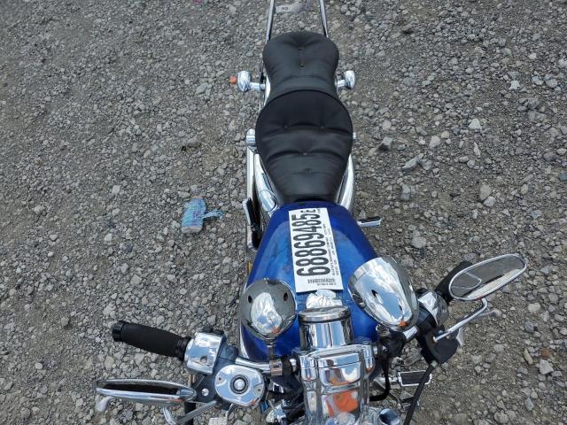 2005 HARLEY-DAVIDSON XL1200 C 1HD1CGP185K410123