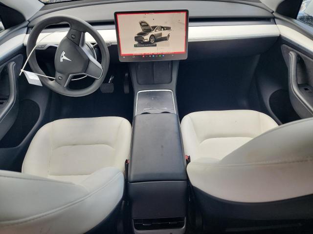 2023 TESLA MODEL Y 7SAYGDEE8PA147687