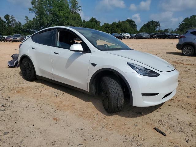 2021 TESLA MODEL Y #3308228163