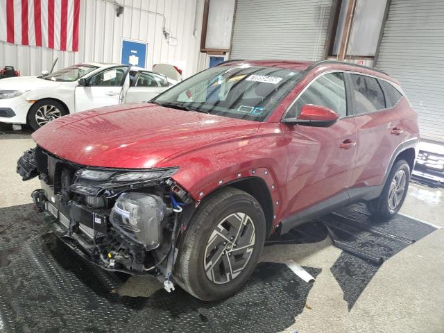 2025 HYUNDAI TUCSON BLU KM8JBDD19SU272434