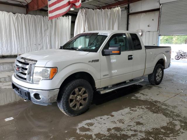 Global Auto Auctions: 2013 FORD F150 SUPER
