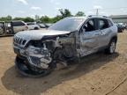 2019 JEEP CHEROKEE L - 1C4PJLCB8KD131442