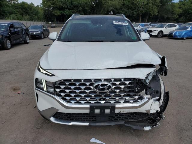 2023 HYUNDAI SANTA FE SEL PREMIUM 5NMS3DAJ0PH526072