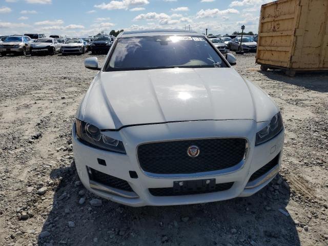 2017 JAGUAR XF PREMIUM SAJBD4BV5HCY34774