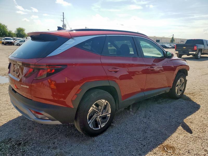 2025 HYUNDAI TUCSON BLU KM8JBDD18SU266995