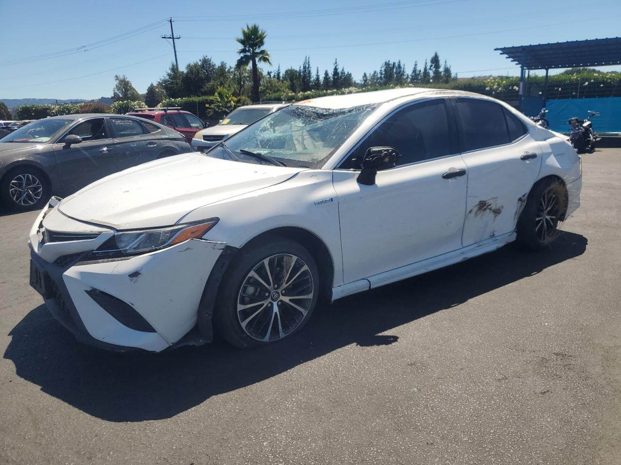 TOYOTA CAMRY HYBRID