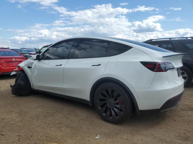2022 TESLA MODEL Y 7SAYGDEF7NF530836