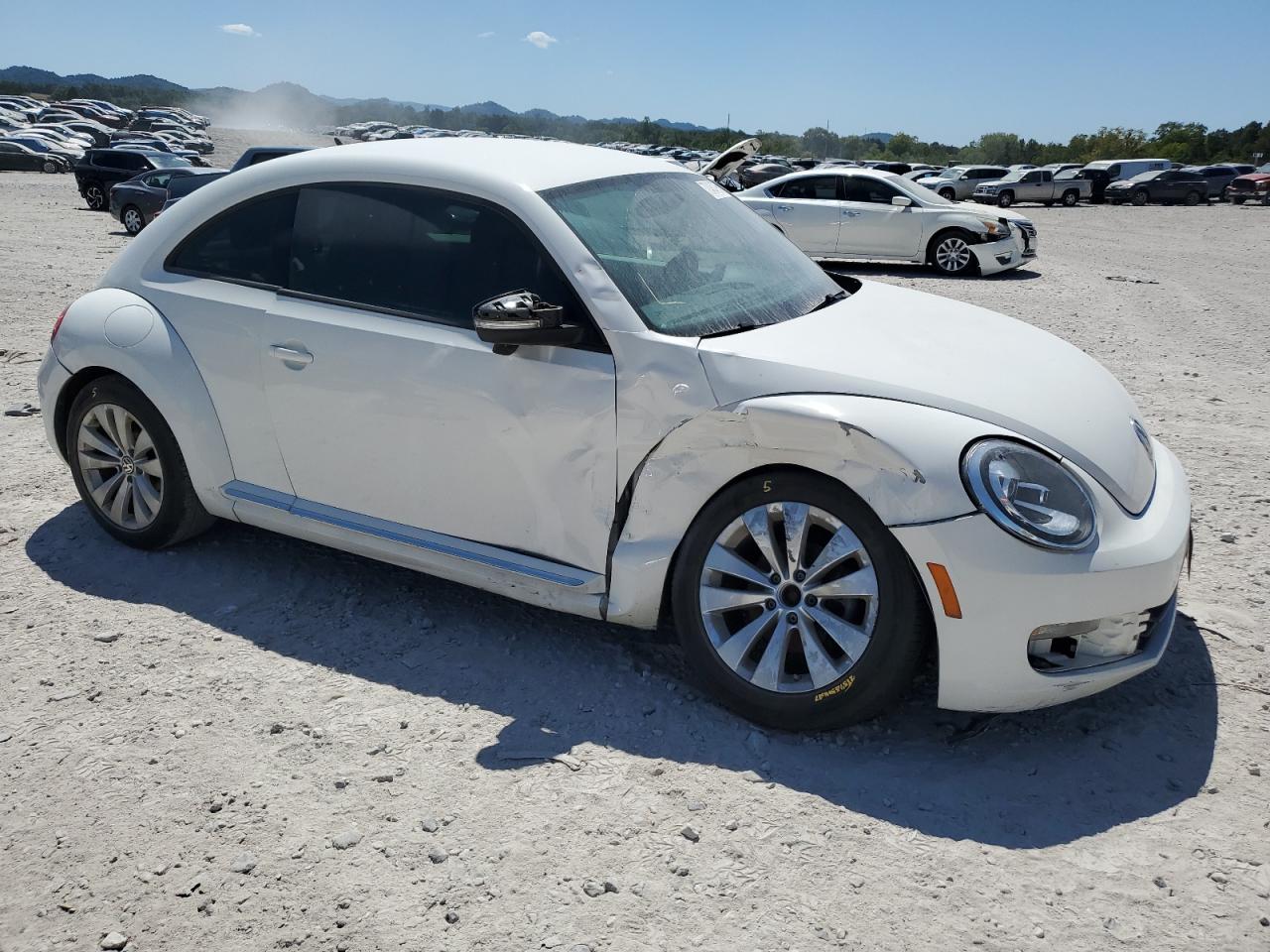 VOLKSWAGEN BEETLE
