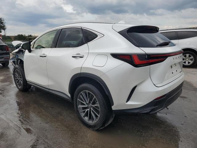 2024 LEXUS NX 250 PRE JTJGDCAZ3R5019463
