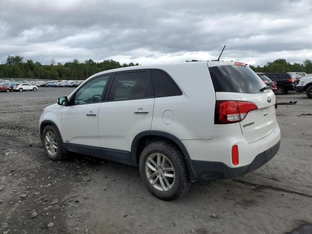2015 KIA SORENTO LX 5XYKTCA65FG637702