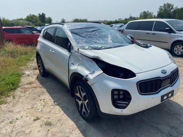 2019 KIA SPORTAGE S - KNDPRCA61K7568406