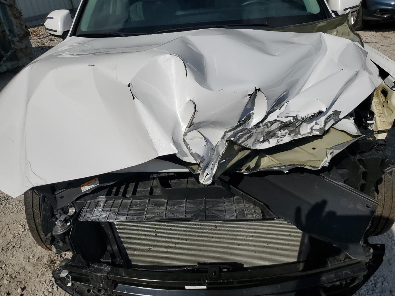 HYUNDAI PALISADE CALLIGRAPHY