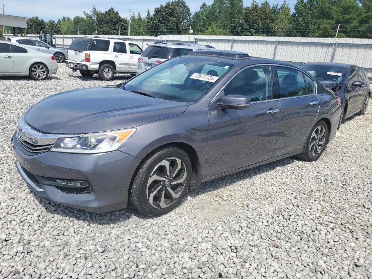 HONDA ACCORD EXL