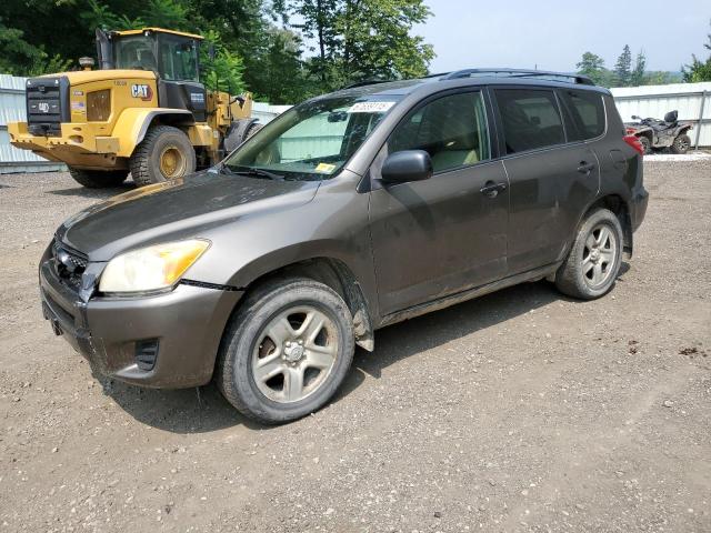 2010 TOYOTA RAV4 - 2T3BF4DV4AW036789