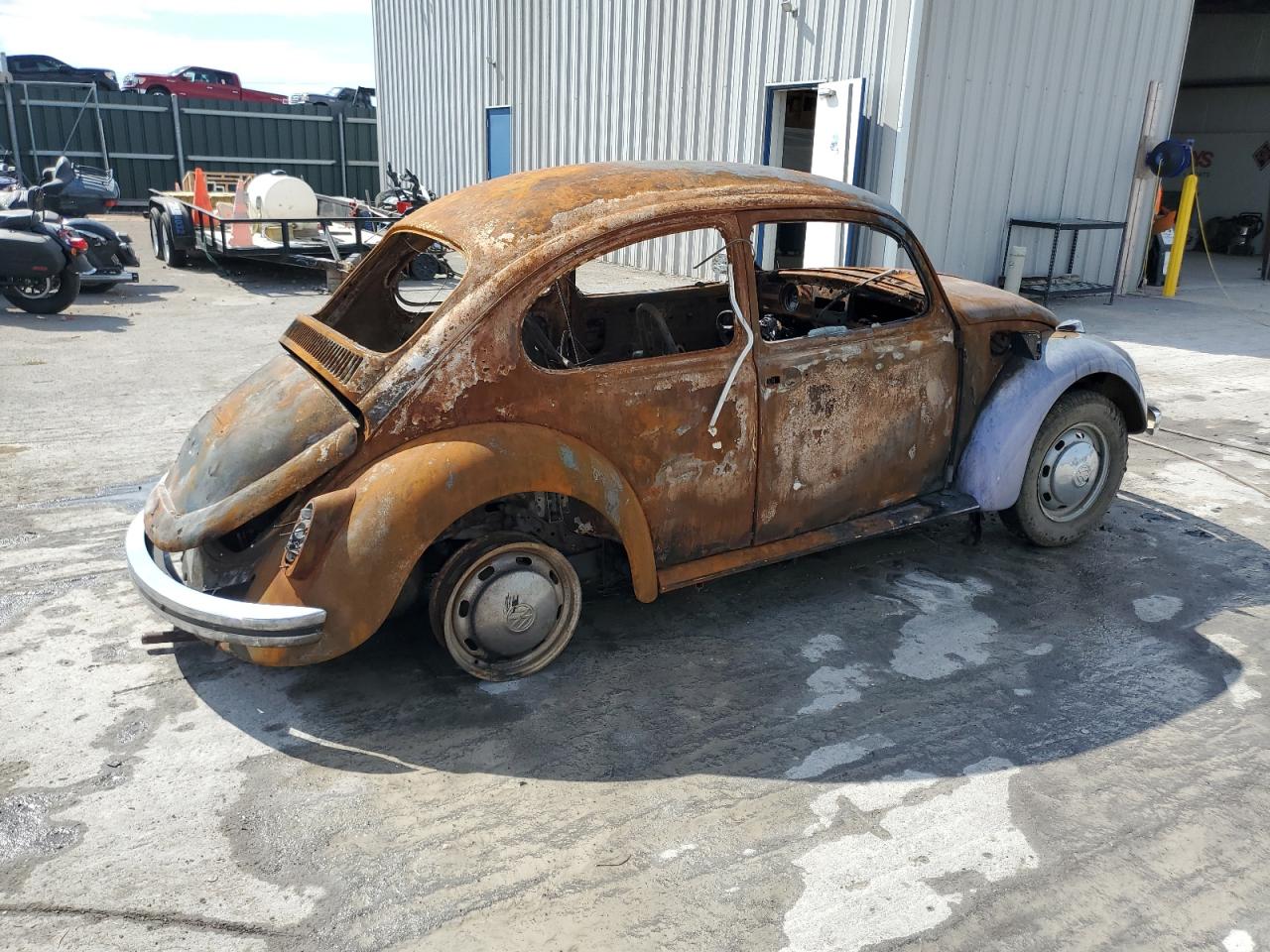 Lot #3309585575 1969 VOLKSWAGEN BEETLE