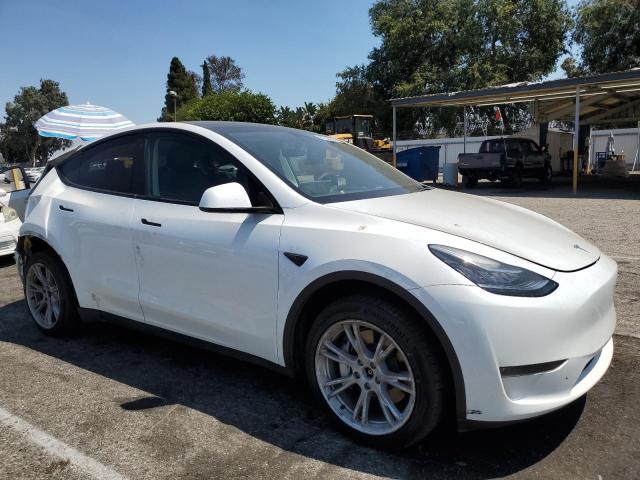 2023 TESLA MODEL Y 7SAYGDEE0PA032226