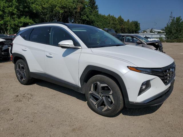 2023 HYUNDAI TUCSON LUXURY KM8JCCA18PU088752