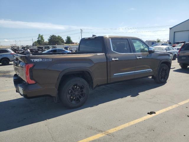 2023 TOYOTA TUNDRA CREWMAX PLATINUM 5TFMA5EC1PX013355