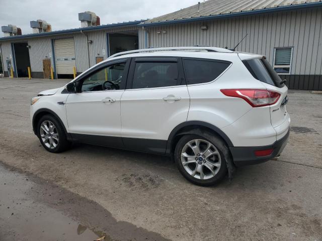 2014 FORD ESCAPE TIT - 1FMCU9J91EUE33079