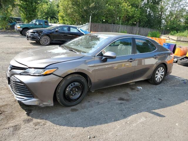 Global Auto Auctions: 2019 TOYOTA CAMRY LE