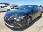 2019 LEXUS ES 350 - 58ABZ1B1XKU007354