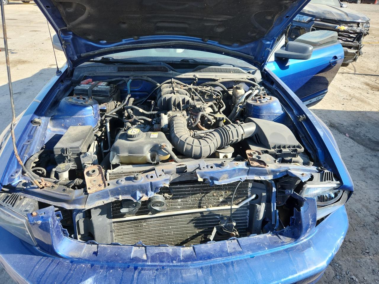 Lot #3286675316 2009 FORD MUSTANG