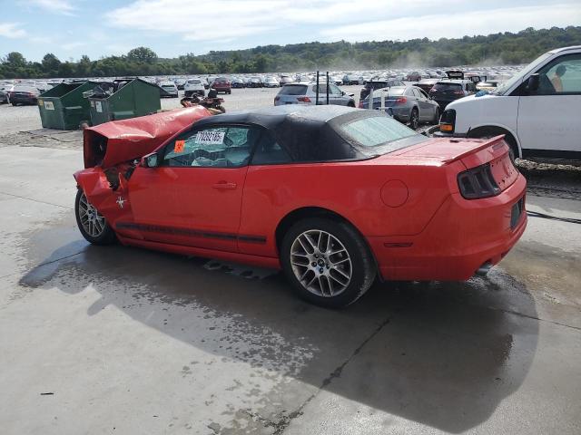 2013 FORD MUSTANG - 1ZVBP8EM1D5216346