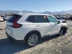 Lot #3305590121 2024 HONDA CR-V EX