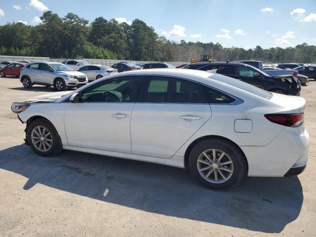 2019 HYUNDAI SONATA SE - 5NPE24AF3KH767437