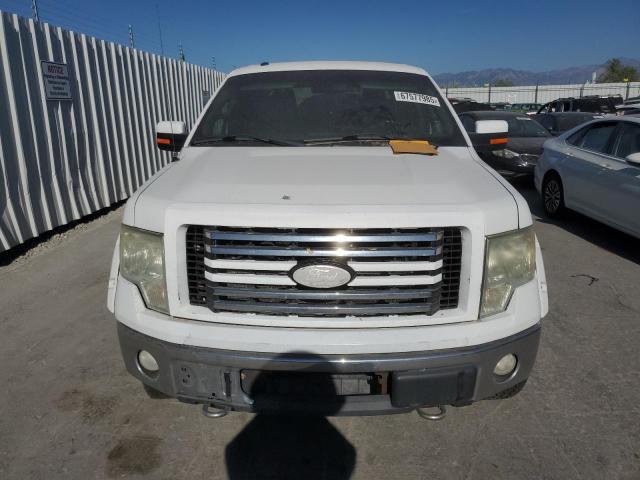 2010 FORD F150 SUPERCREW - 1FTFW1EV8AFC59045